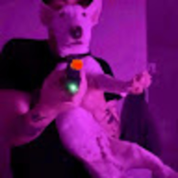 Meet your Posher, Tobey - Picture 1 of 1